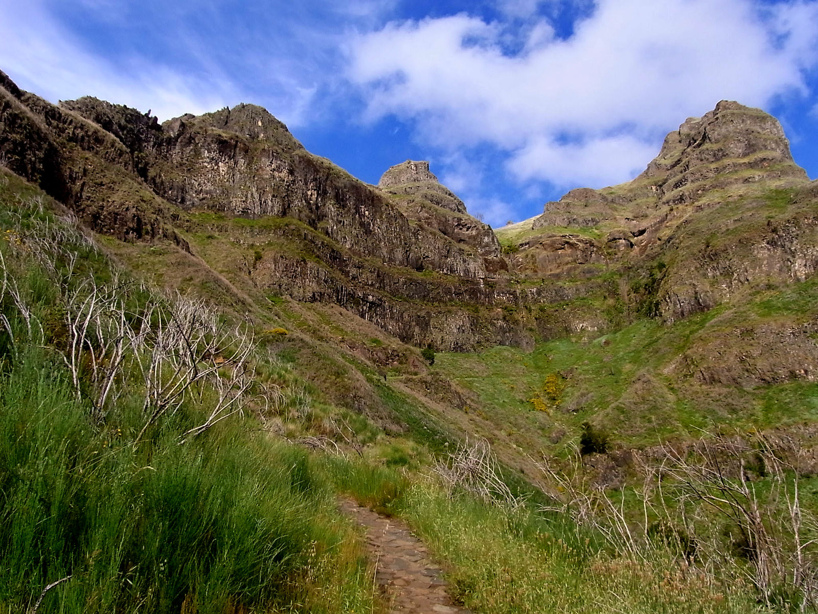 P17G0816.JPG