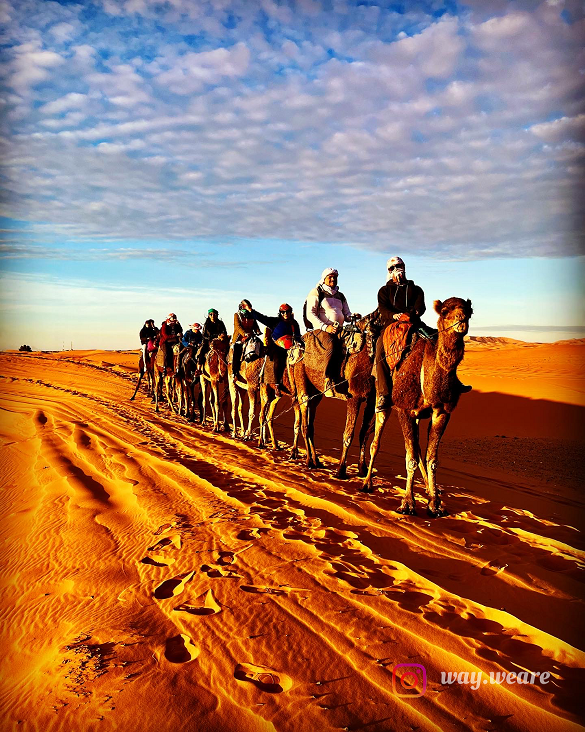 San Dunes Experience - Wielbłądy.png