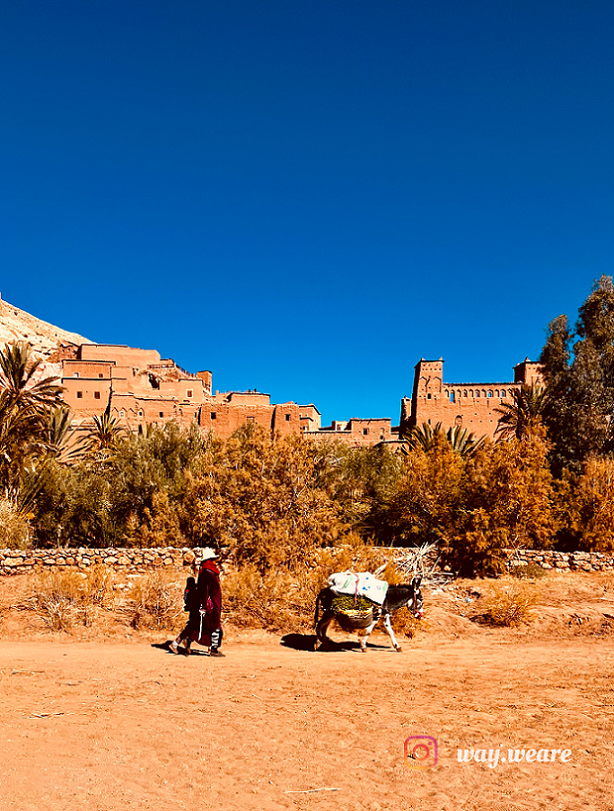 San Dunes Experience - Ajt Bin Haddu.png