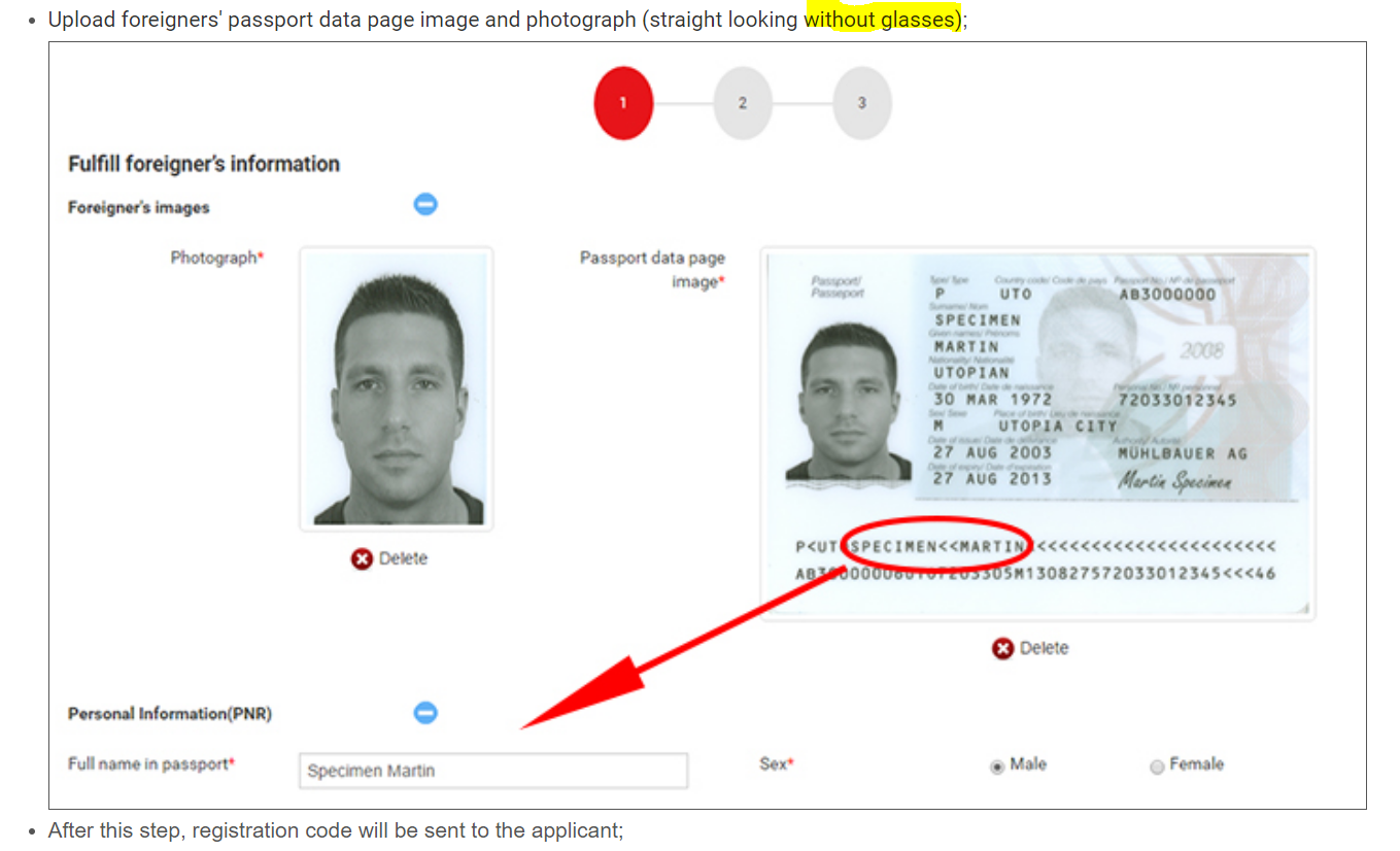 E-visa.PNG