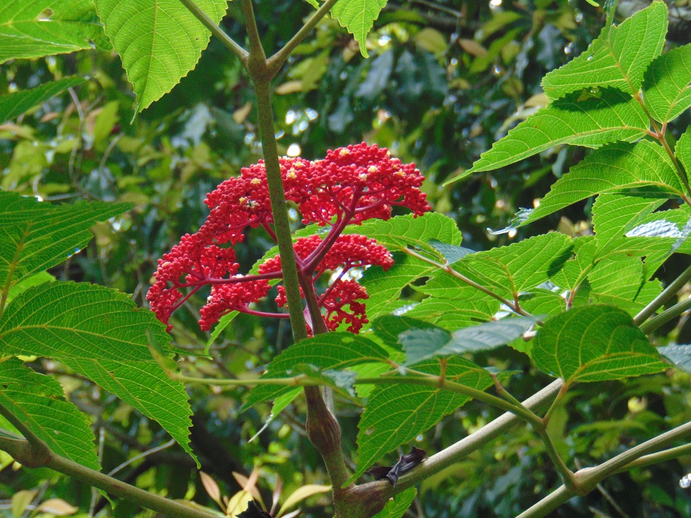 DSC03119.JPG