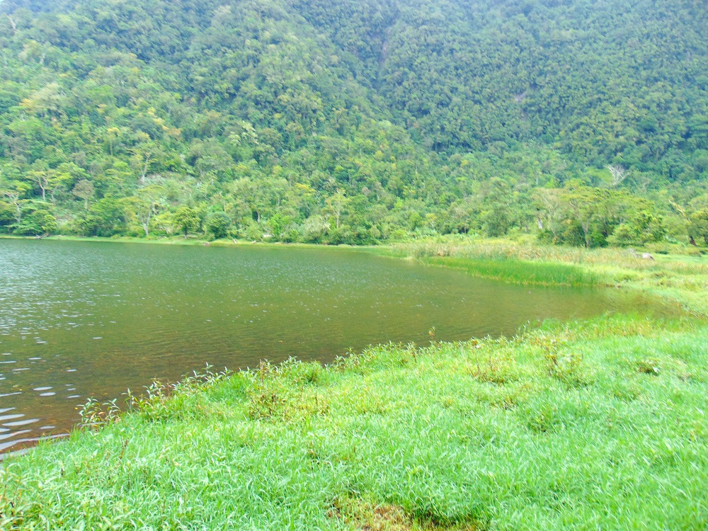DSC03126.JPG