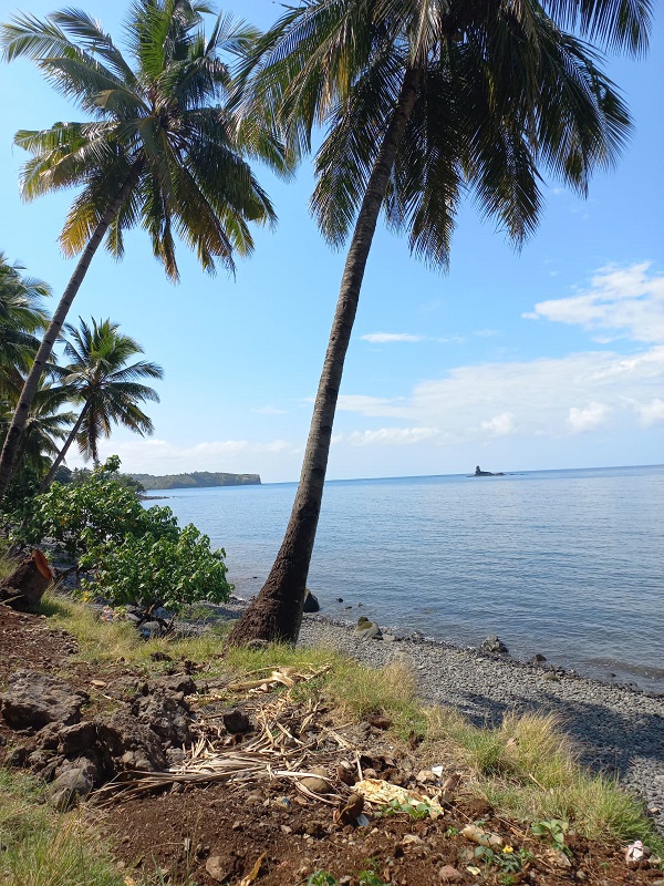 IMG-20221208-WA0018.jpg