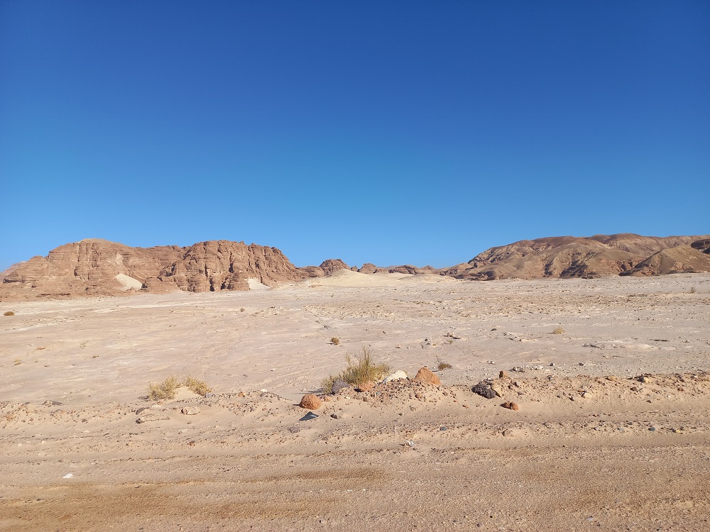 20230213_084930.jpg