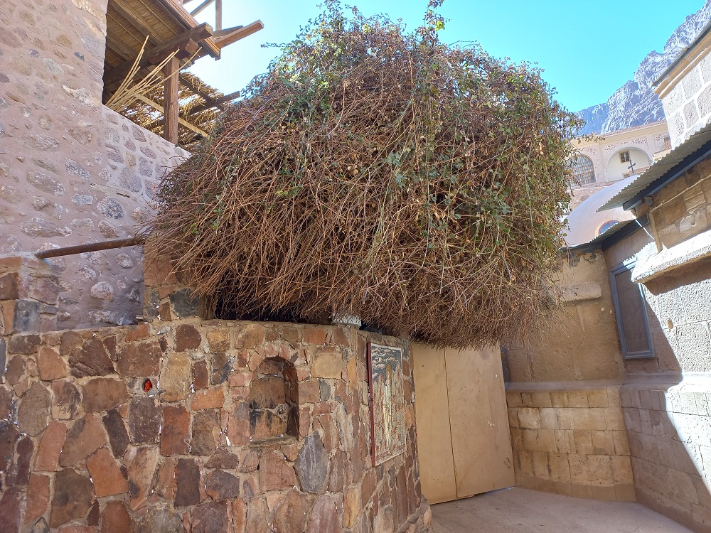 20230213_101919.jpg