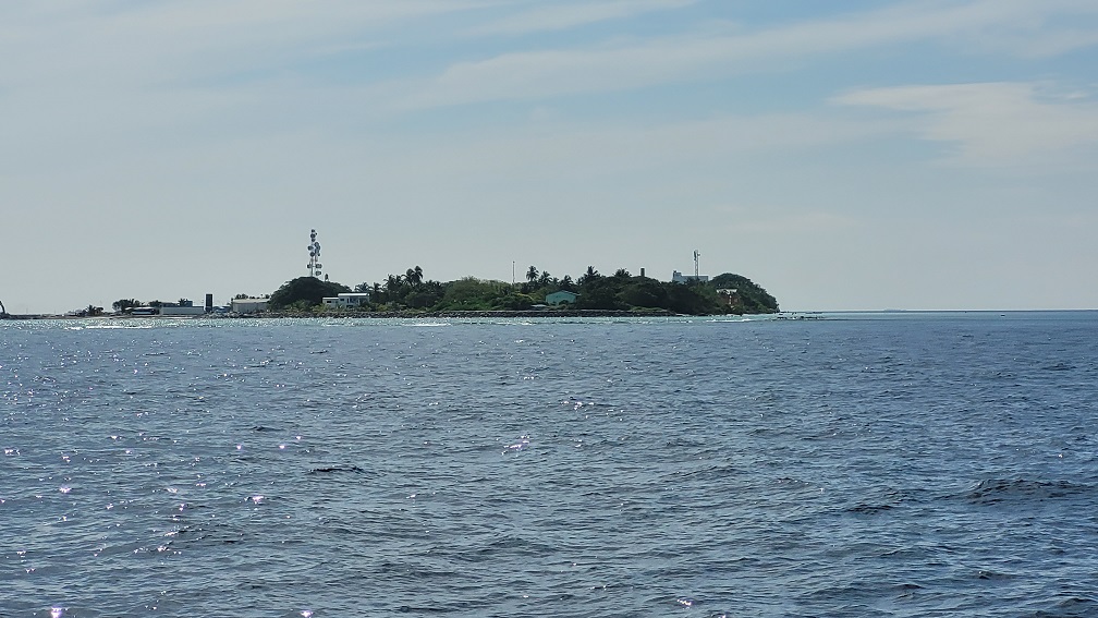 20230205_094449.jpg