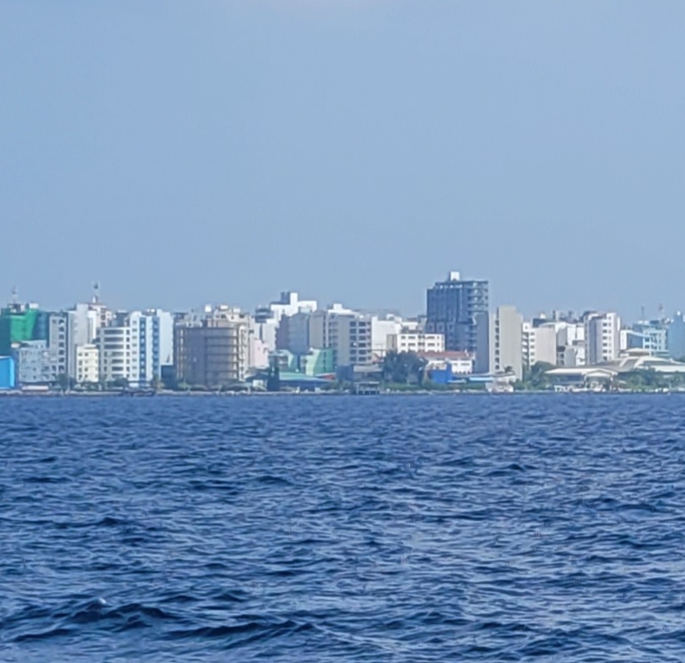 20230208_141631.jpg