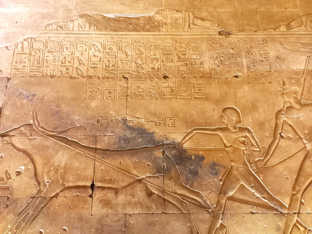 20230215_102031.jpg