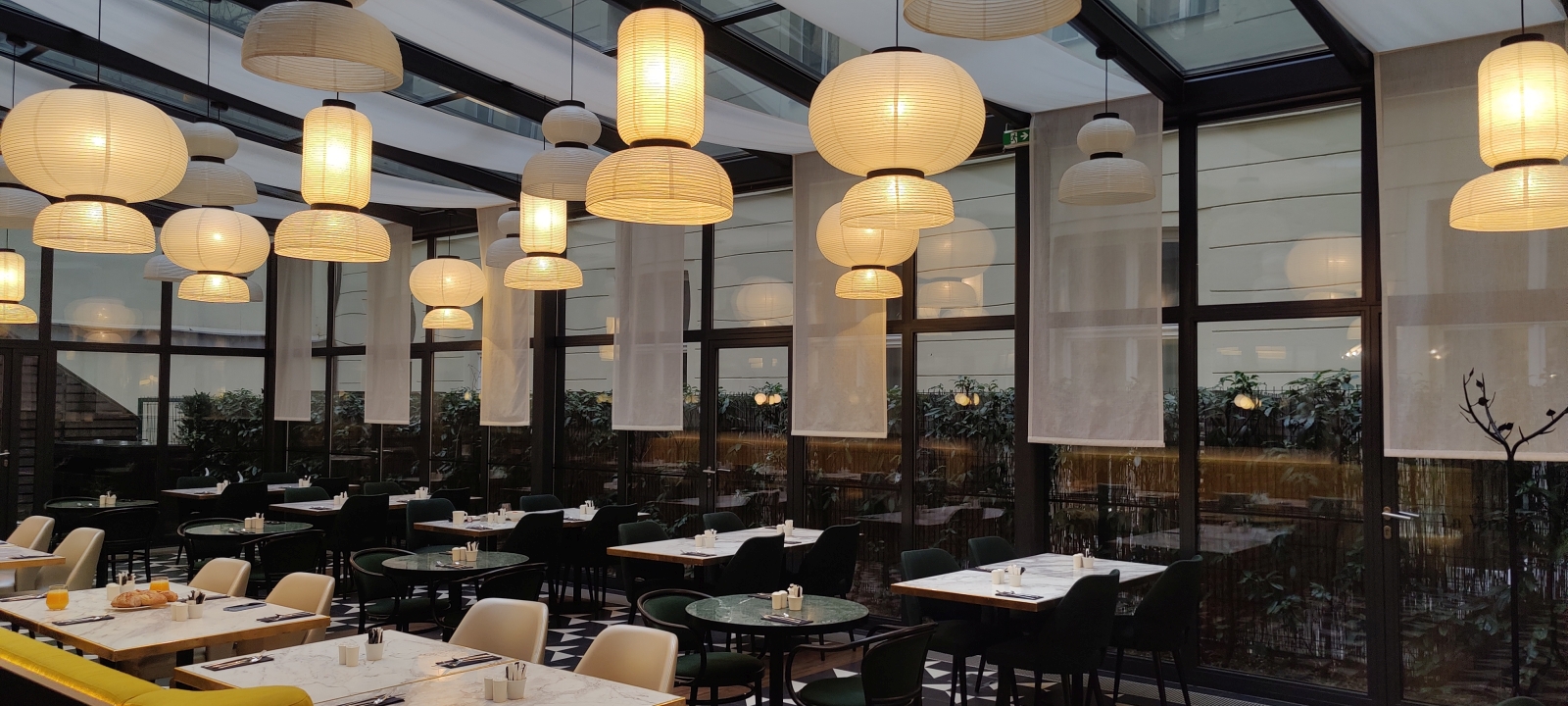 36 COTP.jpg
