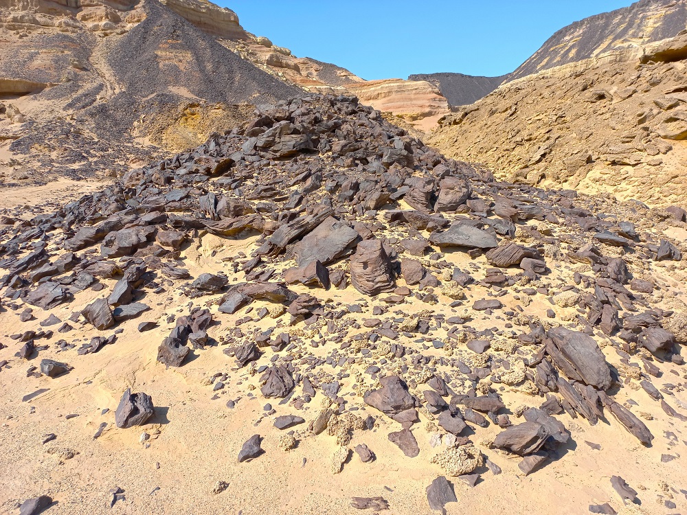20230220_132941.jpg