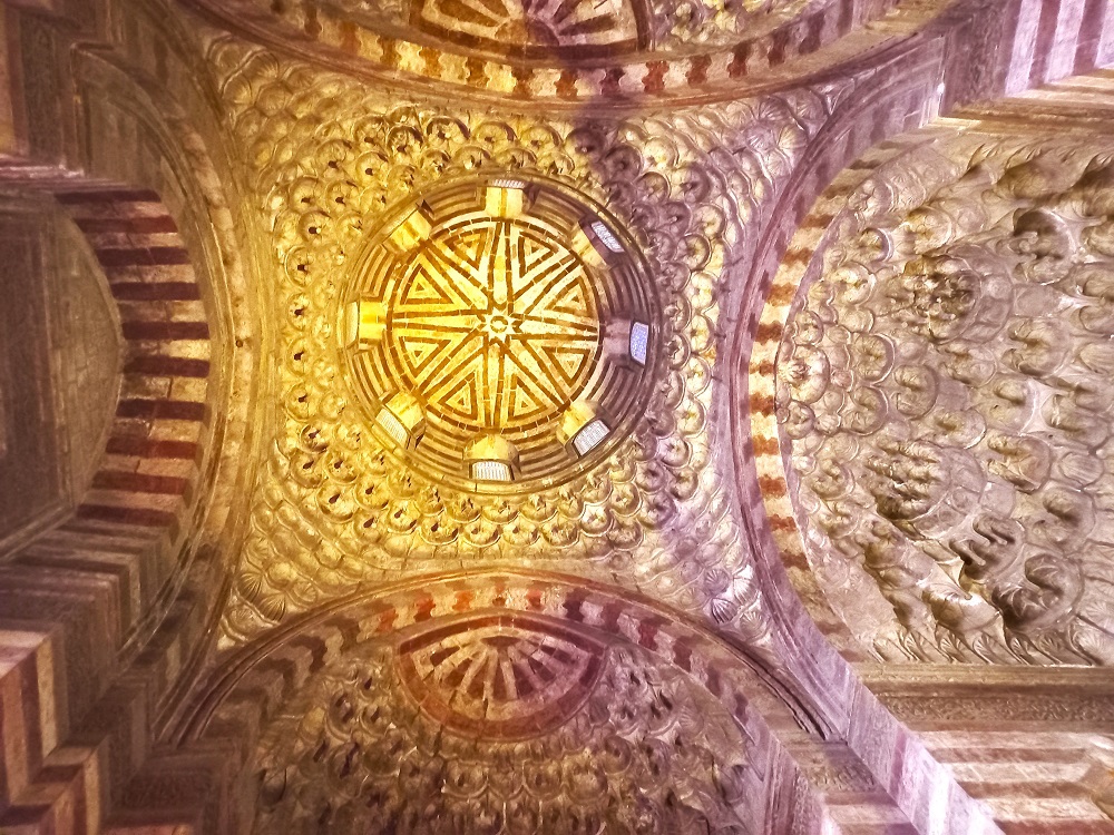 20230225_162747.jpg
