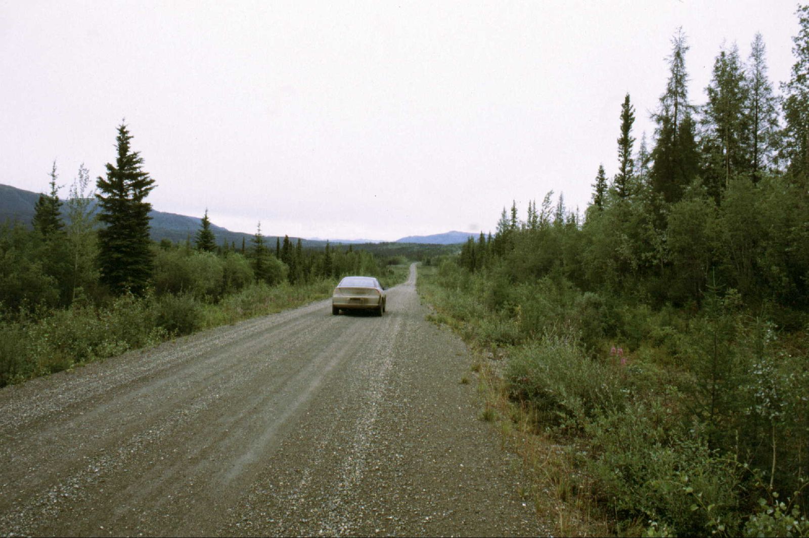 b232a.jpg