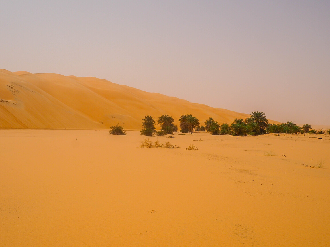 PA040346.jpg