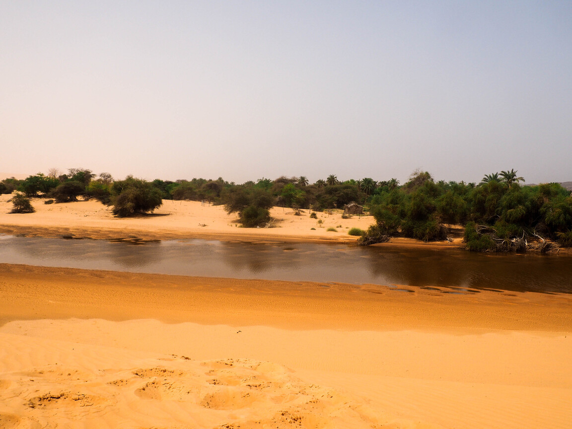 PA040350.jpg