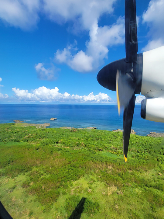 flight-viewx540.jpg