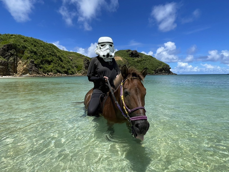 horse1x800.jpg