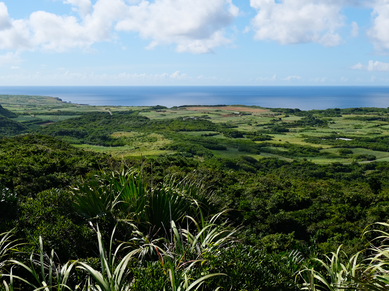 island-viewx800.jpg