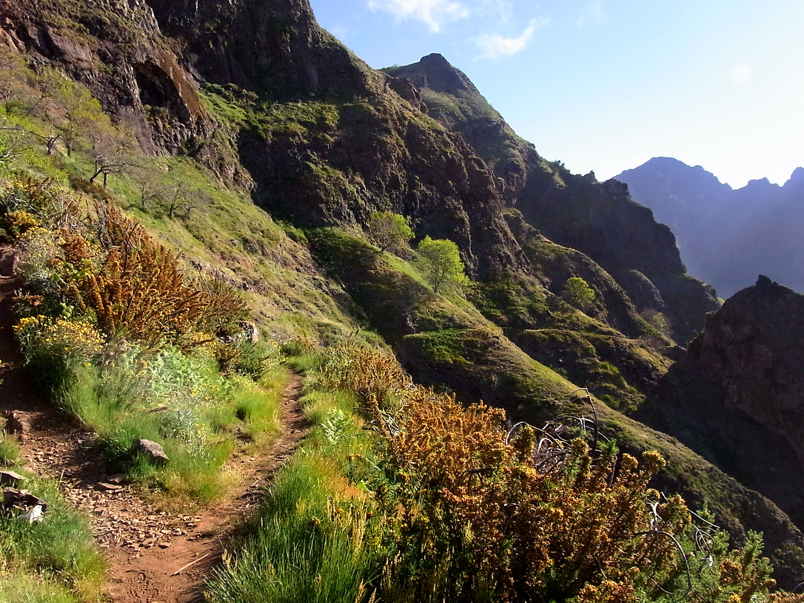 P18G0996.JPG