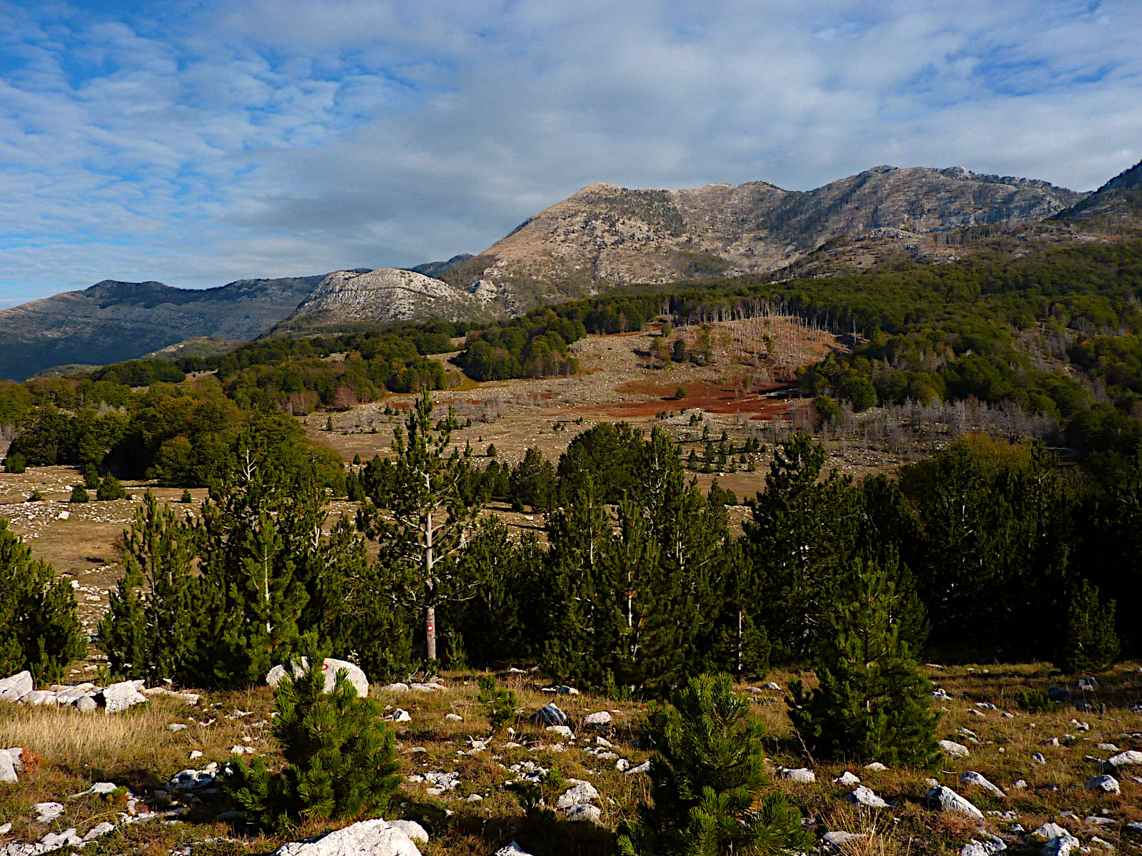 P1050495.JPG