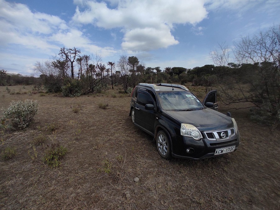 Nissan2.jpg