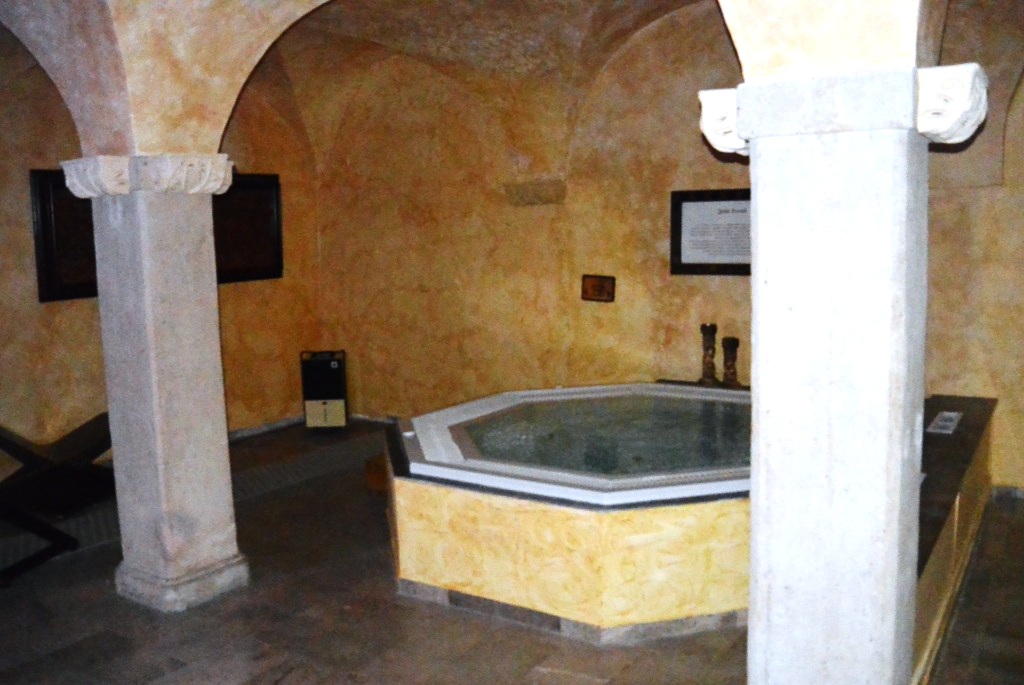 DSC_1217.JPG