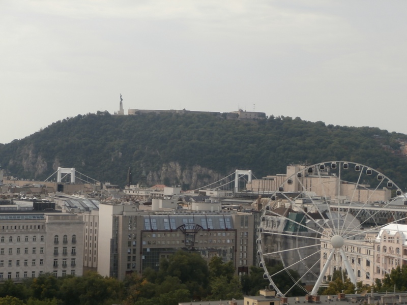 P9080084.JPG