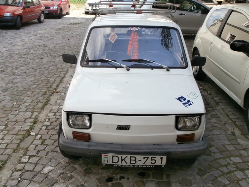 P9090341.JPG