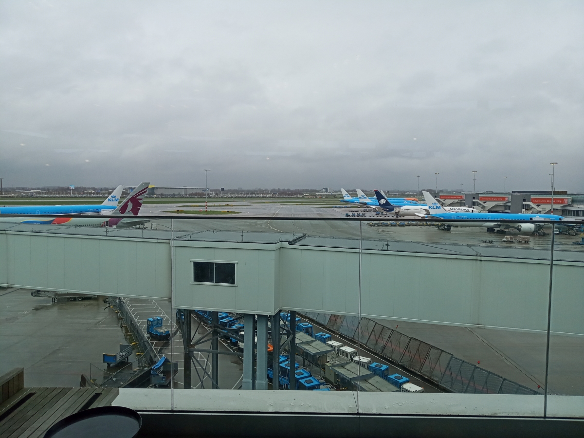 IMG_20230331_151153.jpg