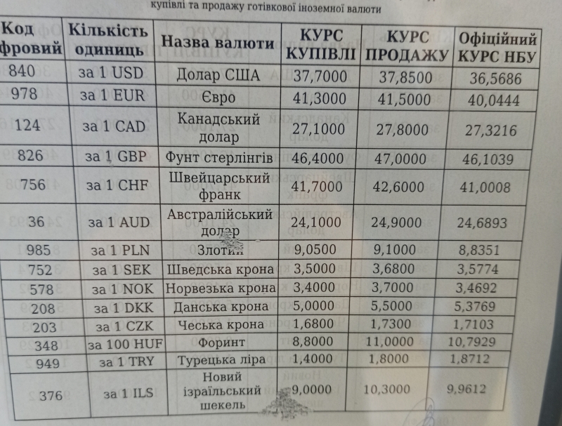 06.jpg
