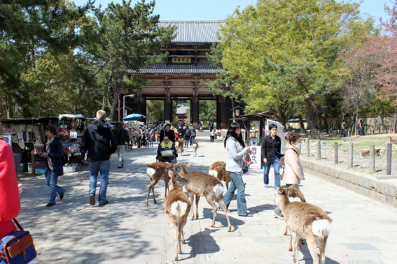 Nara_03.jpg