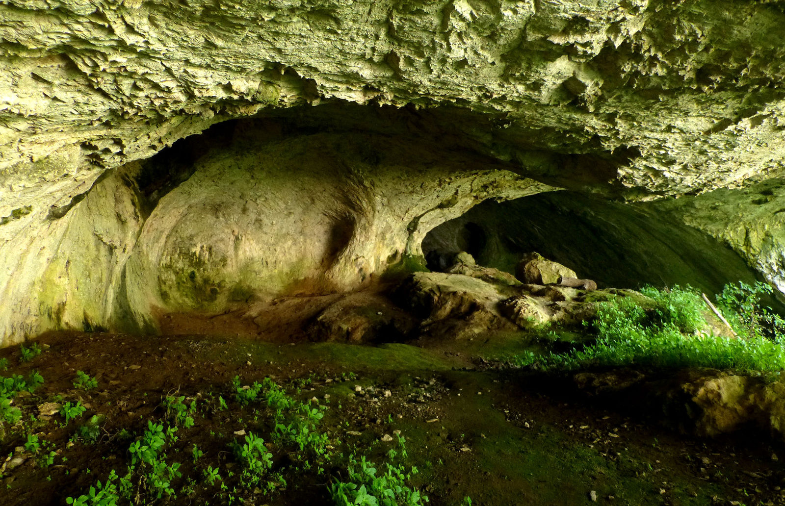 P2420364.JPG