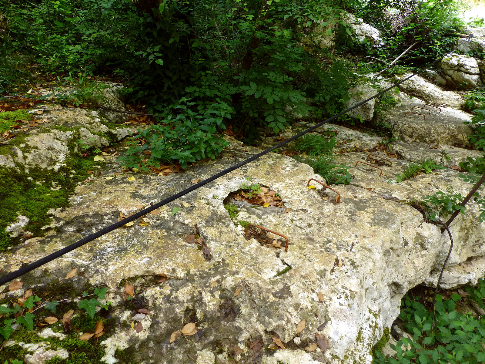 P2420386.JPG