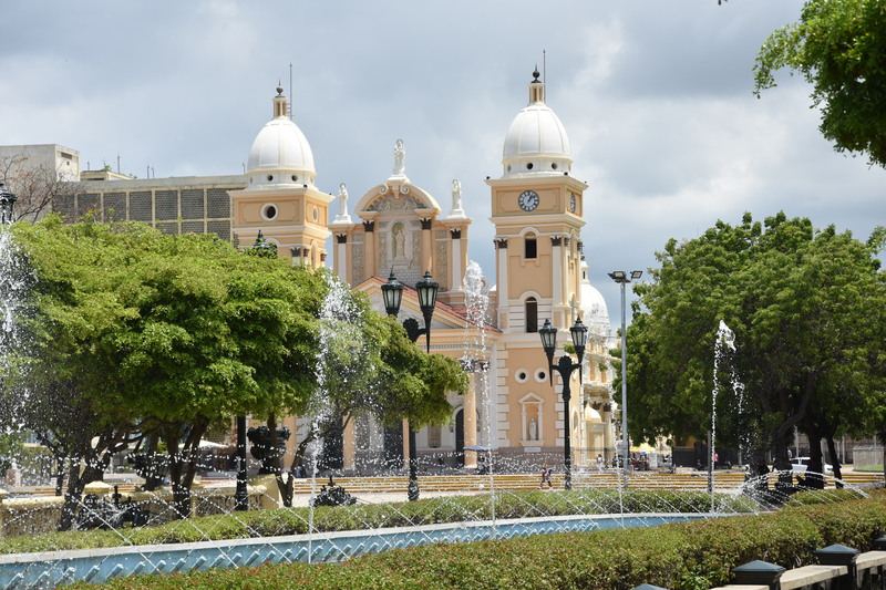 DSC_4971.JPG