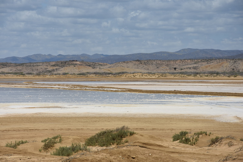 DSC_4517.JPG