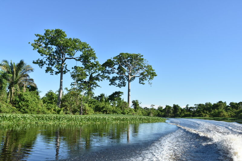 DSC-5230.jpg