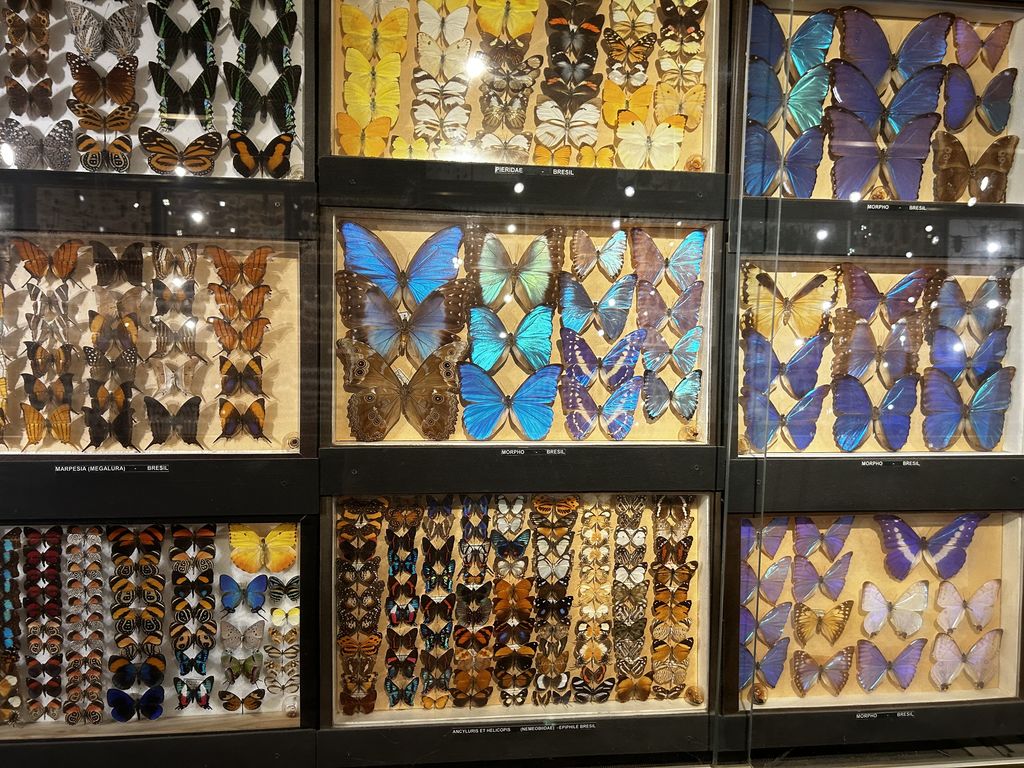 custom_resized_331ef75a-a233-4b8c-85c9-07df057885e6.jpg