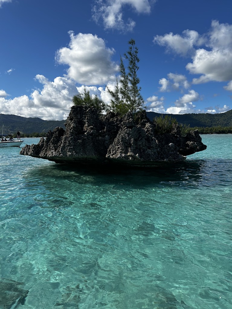 custom_resized_ef2b0c2a-23b2-4aea-a6ea-8a48dba3953a.jpg
