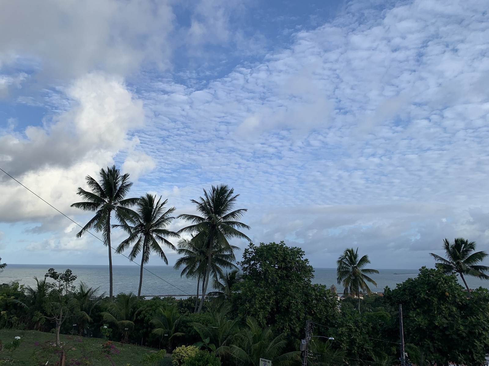 IMG_9071.JPEG