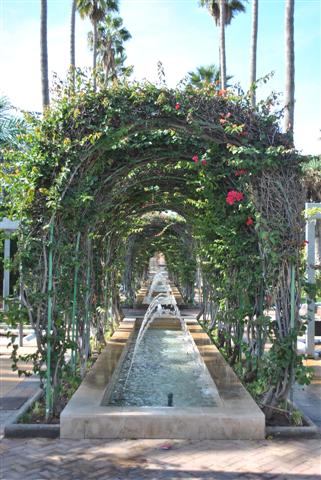 DSC_0171 (Small).JPG