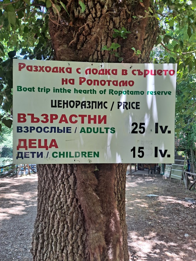 20230625_124228.jpg