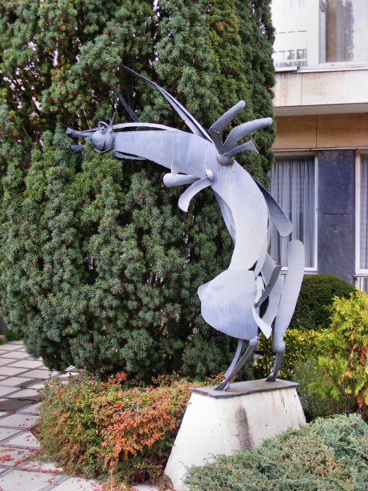 DSCF9487.JPG