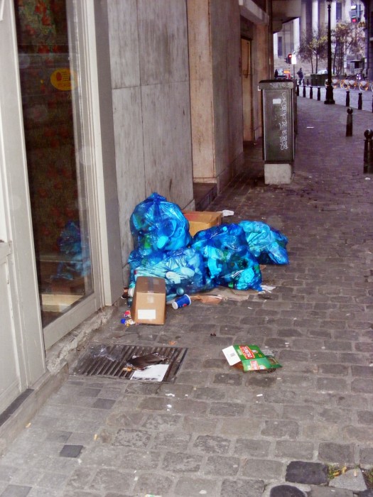DSCF9539.JPG