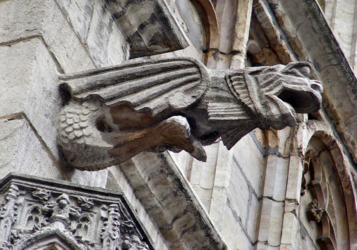 DSCF9615.JPG