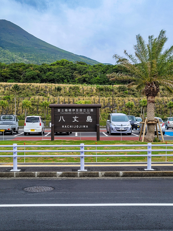 hachijo-airport2x600.jpg