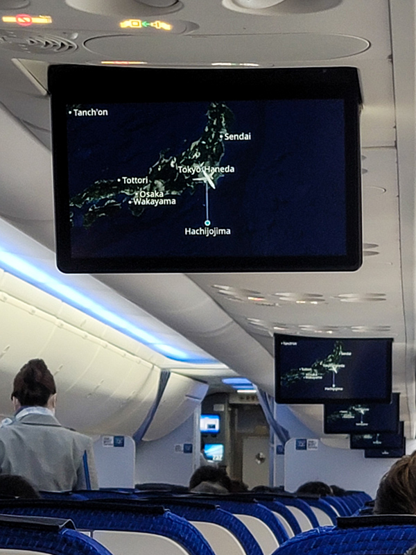 hachijo-display2x600.jpg