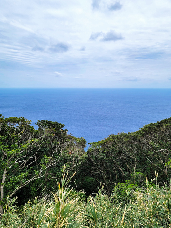 sea-view-aogashimax600.jpg