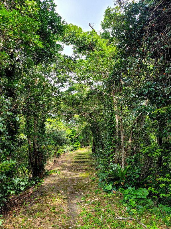 trail2x600.jpg