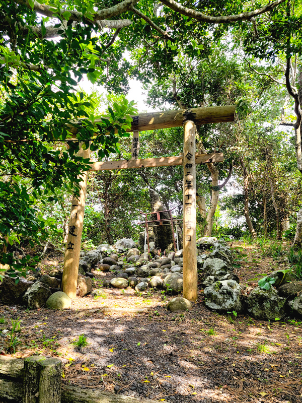 trail5x600.jpg