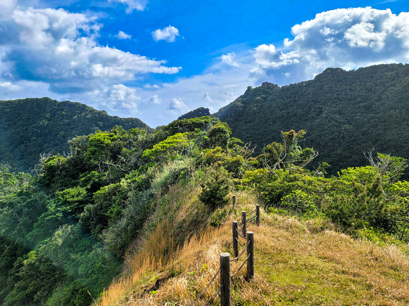 trail7x800.jpg