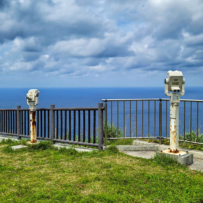 viewpointx700.jpg